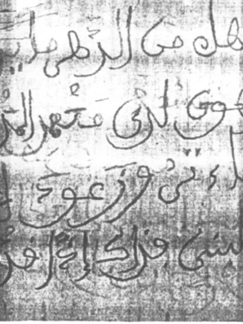 حامد بن محمد فال