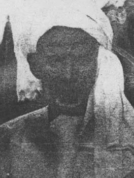 محمد الأمين بن زبير