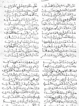 محمد بن عامر المعداني