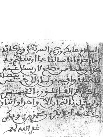 بكن الفاضلي