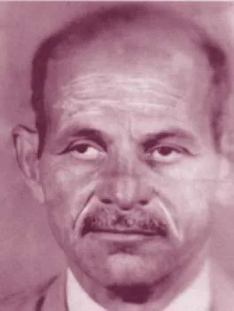 عبد الرازق أبو سنة