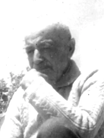 حامد شلق