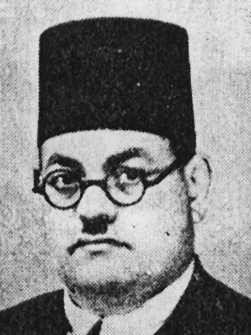 أحمد محمد البدرشيني