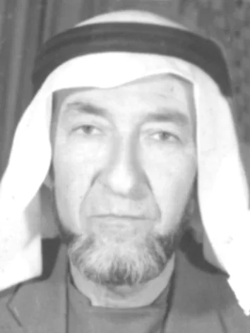 حسني نجيب