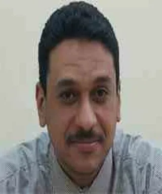 محمد ربيع جاد الله