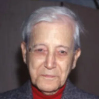 محمد ديب