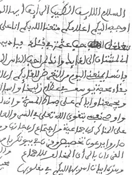 نافع بن حبيب بن زائد