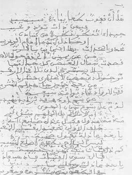 محمد بن الجيلي الكنتي