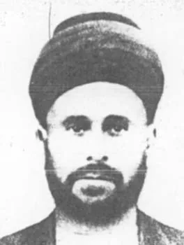 محمد أمين فضل الله