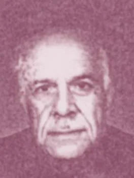 علاء الدين عليوي