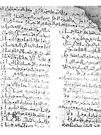 زياد بن حامدت