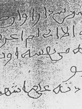 يقوى الفاضلي