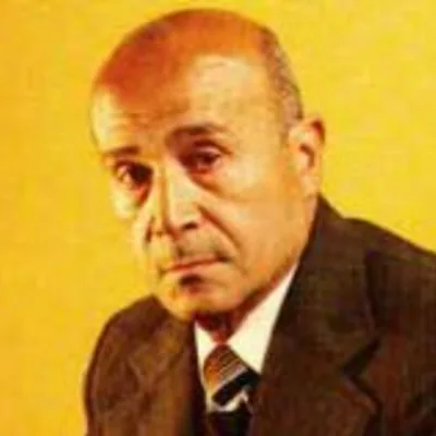 حسن البحيري