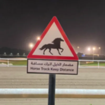 العجمي