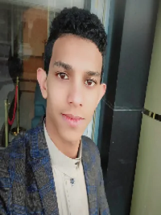 محمد حسن الصالحي
