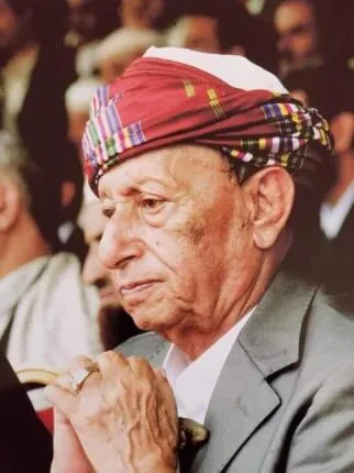 محمد أحمد منصور
