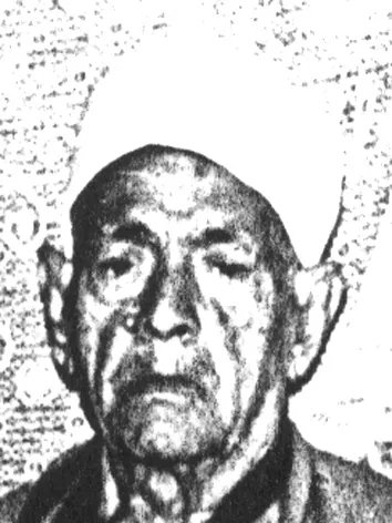 أحمد الكامل