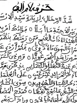 محمد السنوسي غوث