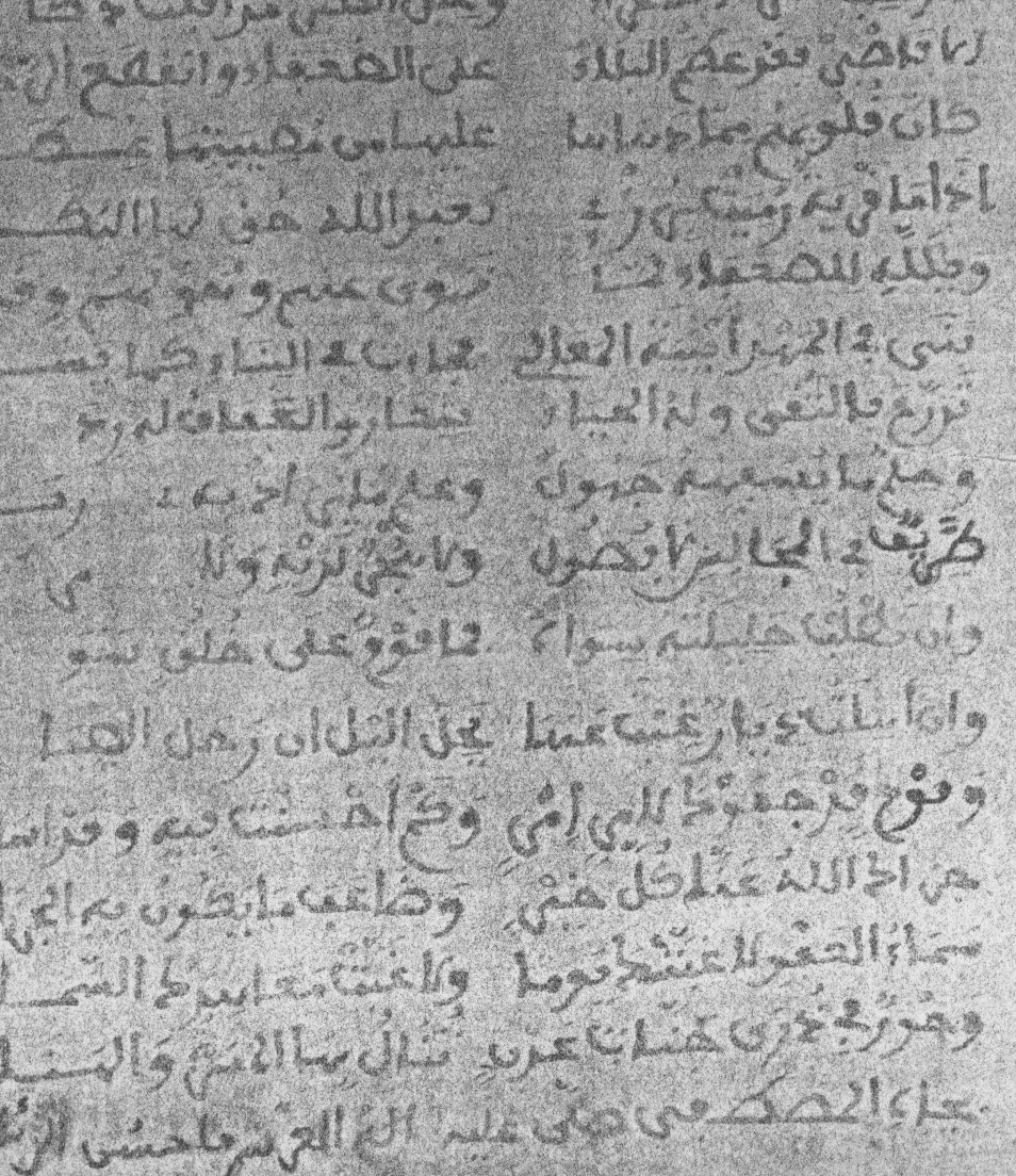 المصطفى بن العالم