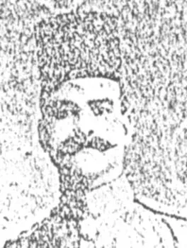 محمد العناني