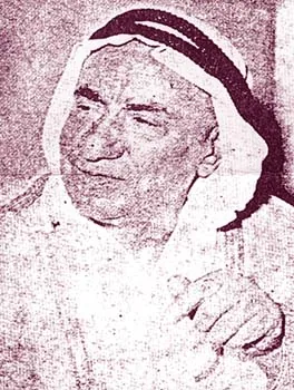 محمود شوقي الأيوبي