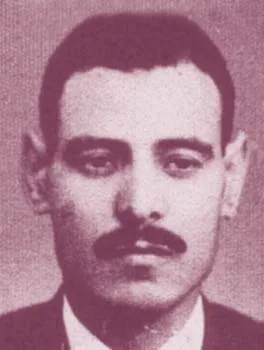 فتحي محمود سليمان