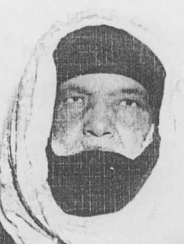 محمد الإمام ماء العينين